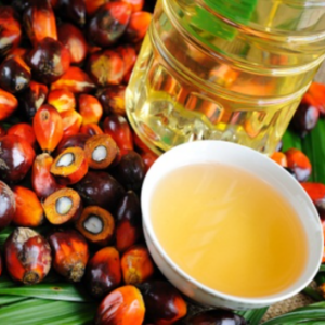 Palm Oil